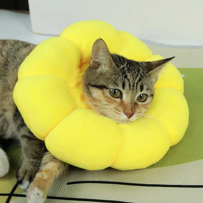 Sunflower Pet Elizabethan Collar