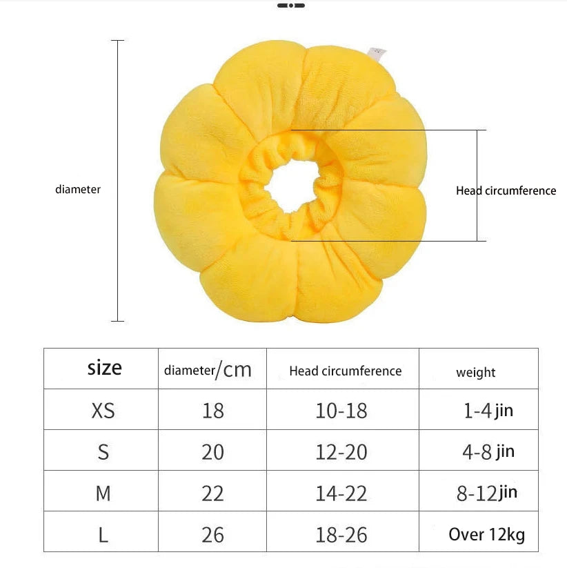 Sunflower Pet Elizabethan Collar