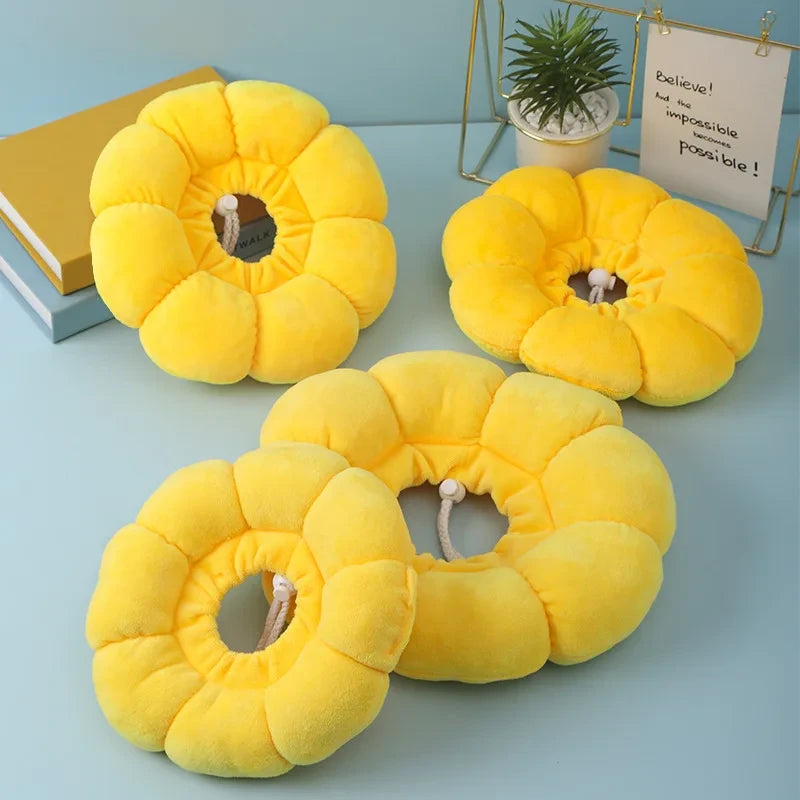Sunflower Pet Elizabethan Collar