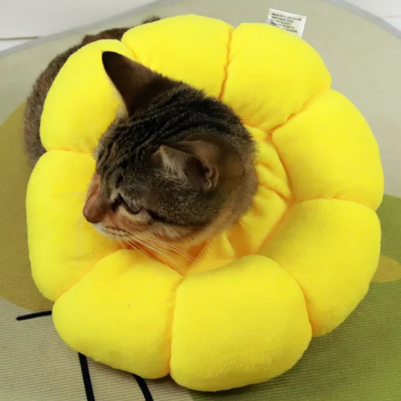 Sunflower Pet Elizabethan Collar