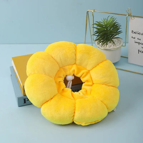Sunflower Pet Elizabethan Collar